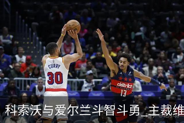 科索沃与爱尔兰斗智斗勇 主裁维瑟的执法数据分析